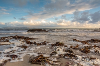 The Wild Atlantic, Furbo