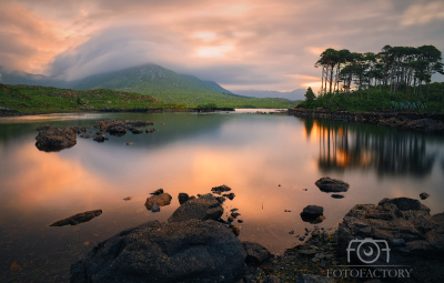 Twelve pines island at Derryclare 