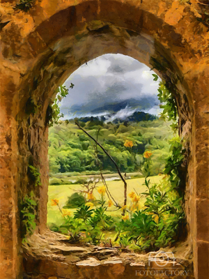 Window to Nature