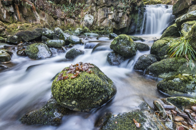 Within the Falls