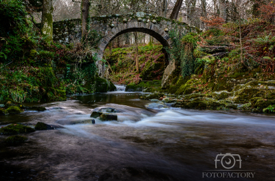 Woodland Way, Foley's Bridge, Tollymore
